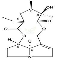 全缘千里光碱  CAS号：480-79-5