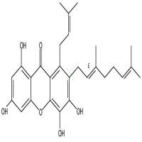 藤黄呫吨酮E   CAS号：173294-74-1