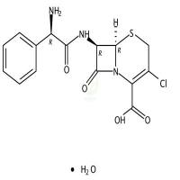 头孢克洛一水合物  CAS号：70356-03-5