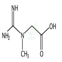肌酸  CAS号：57-00-1
