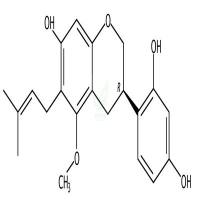粗毛甘草素C  CAS号：142474-53-1
