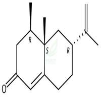 诺卡酮  CAS号：4674-50-4