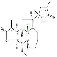 新对叶百部碱  CAS号：143120-46-1