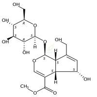 去乙酰车叶草苷酸甲酯  CAS号：52613-28-2