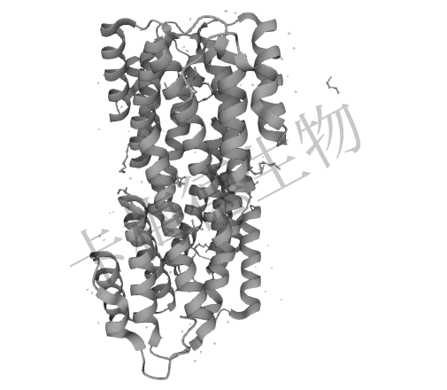 血清淀粉样蛋白 A （SAA）介绍