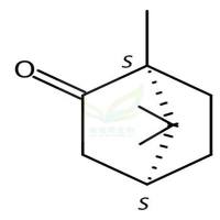 （左旋）樟脑  CAS号：464-48-2
