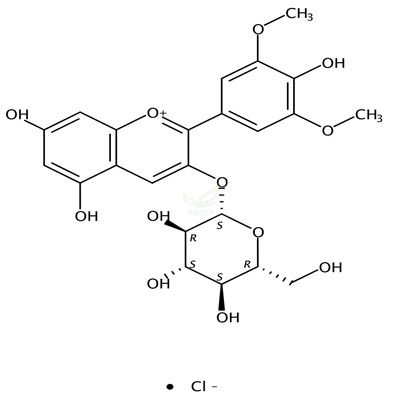 氯化锦葵素-3-O-葡萄糖苷  CAS号：7228-78-6