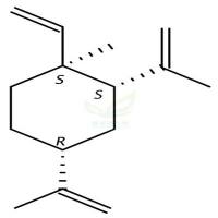 β-榄香烯  CAS号：515-13-9