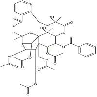 雷公藤碱  CAS号：37239-51-3