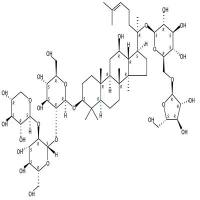 三七皂苷Fp2  CAS号：1004988-75-3