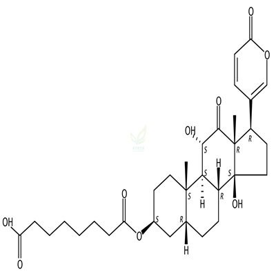 沙蟾毒精-3-辛二酸半酯  CAS号：30219-16-0