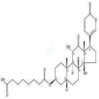 沙蟾毒精-3-辛二酸半酯  CAS号：30219-16-0
