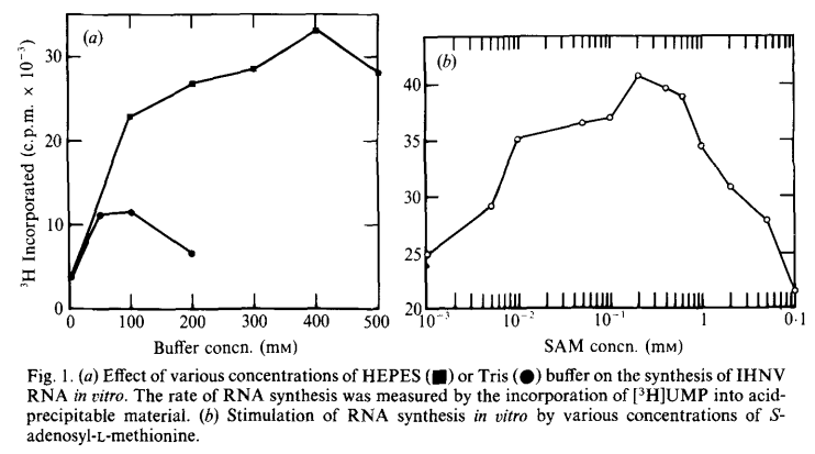 BioNTech在新冠疫苗生产中对RNase free HEPES缓冲体系的应用分析