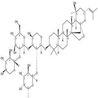 酸枣仁皂苷B1  CAS号：68144-21-8