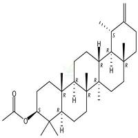 蒲公英甾醇乙酸酯  CAS号：6426-43-3
