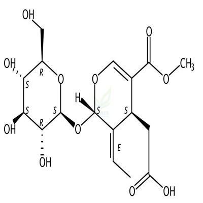 木樨榄苷-11-甲酯  CAS号：60539-23-3