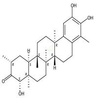 regeol A  CAS号：194025-76-8