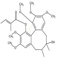 当归酰基戈米辛H  CAS号：66056-22-2