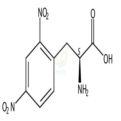 2,4-Dinitro-L-phenylalanine  CAS号：49607-21-8