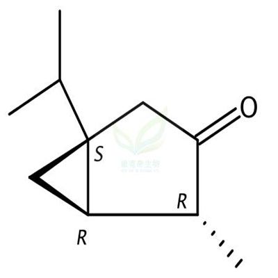 (-)-α-侧柏酮 (-)-α-Thujone