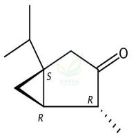 (-)-α-侧柏酮  (-)-α-Thujone