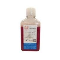 无菌脱纤维牛血