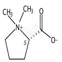 水苏碱  CAS号：471-87-4