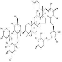 三七皂苷S  CAS号：575446-95-6