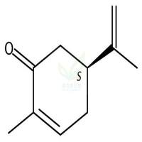 右旋香芹酮  CAS号：2244-16-8