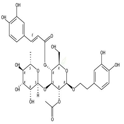 2-乙酰基毛蕊花糖苷  CAS号：94492-24-7