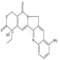 9-氨基喜树碱  CAS号：91421-43-1