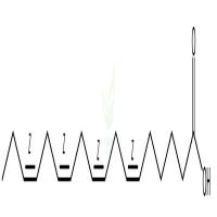 全顺式-6,9,12,15-十八碳四烯酸  CAS号：20290-75-9