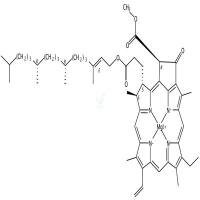 叶绿素A  CAS号：479-61-8