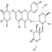 山柰酚-3-槐二糖-7-鼠李糖苷  CAS号：93098-79-4
