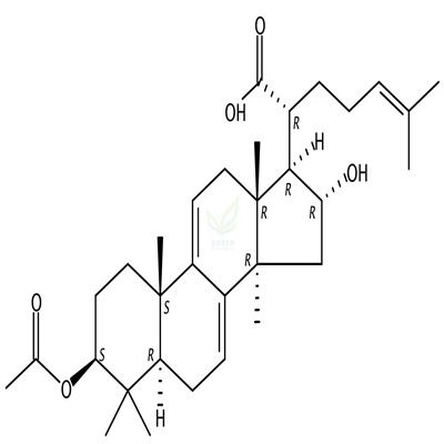 3-O-乙酰基-16α-羟基松苓新酸  CAS号：168293-14-9