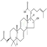 3-O-乙酰基-16α-羟基松苓新酸  CAS号：168293-14-9