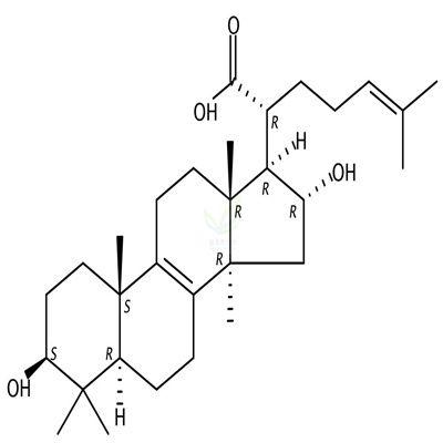 16α-羟基氢化松苓酸  CAS号：176390-68-4