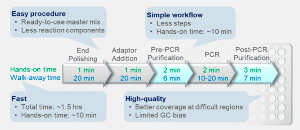 高通量测序NGS DNA文库构建试剂盒——illumina和