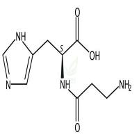 L-肌肽  CAS号：305-84-0