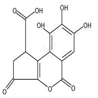 短叶苏木酚酸  CAS号：18490-95-4