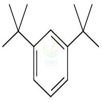 1,3-二叔丁基苯  CAS号：1014-60-4