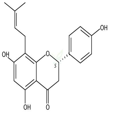 8-异戊烯基柚皮素  CAS号：53846-50-7