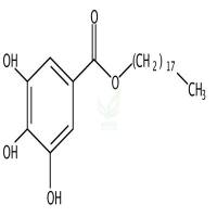没食子酸十八酯 CAS号:10361-12-3