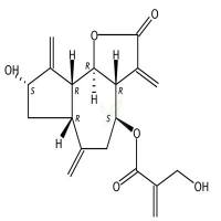 菜蓟苦素 CAS号:35730-78-0