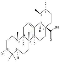 3-表熊果酸 