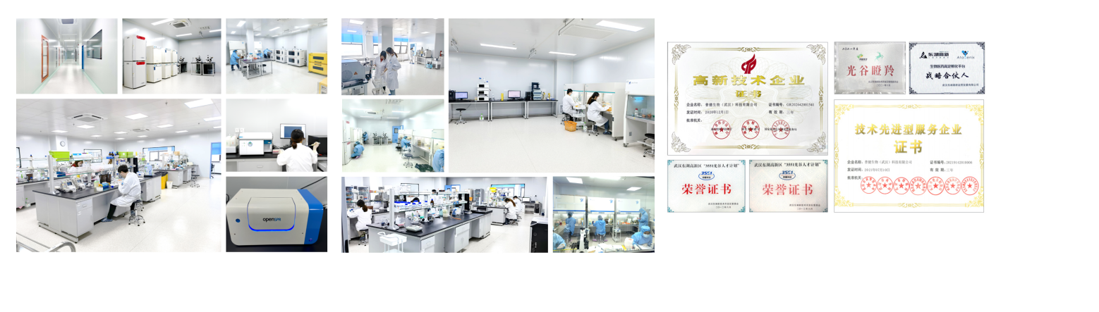 孕妇疫苗获批！普健全新疫苗研发辅助工具开发平台助力疫苗开发