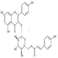 蒺藜皂苷 CAS号:22153-44-2
