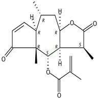 山金车内酯D  CAS号：34532-68-8
