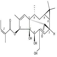 巨大戟醇-3-O-当归酸酯 CAS号:75567-37-2