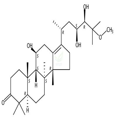 25-甲氧基泽泻醇A  CAS号：155801-00-6